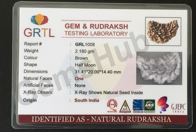 1 Face/Mukhi Certified Rudraksha Premium Quality